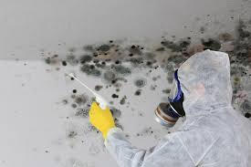 Reliable Beverly, MA Mold Inspection Solutions